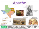 Apache visual