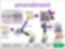 amendment visual