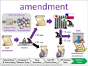 amendment visual
