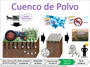 Cuenco de polvo visual