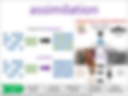 assimilation visual