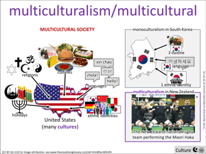 multicultural/multiculturalism visual