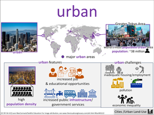 urban visual