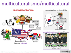 multiculturalismo/multicultural visual