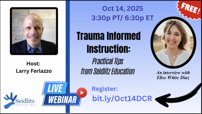 Trauma Informed Instruction: Practical Tips from Seidlitz Education