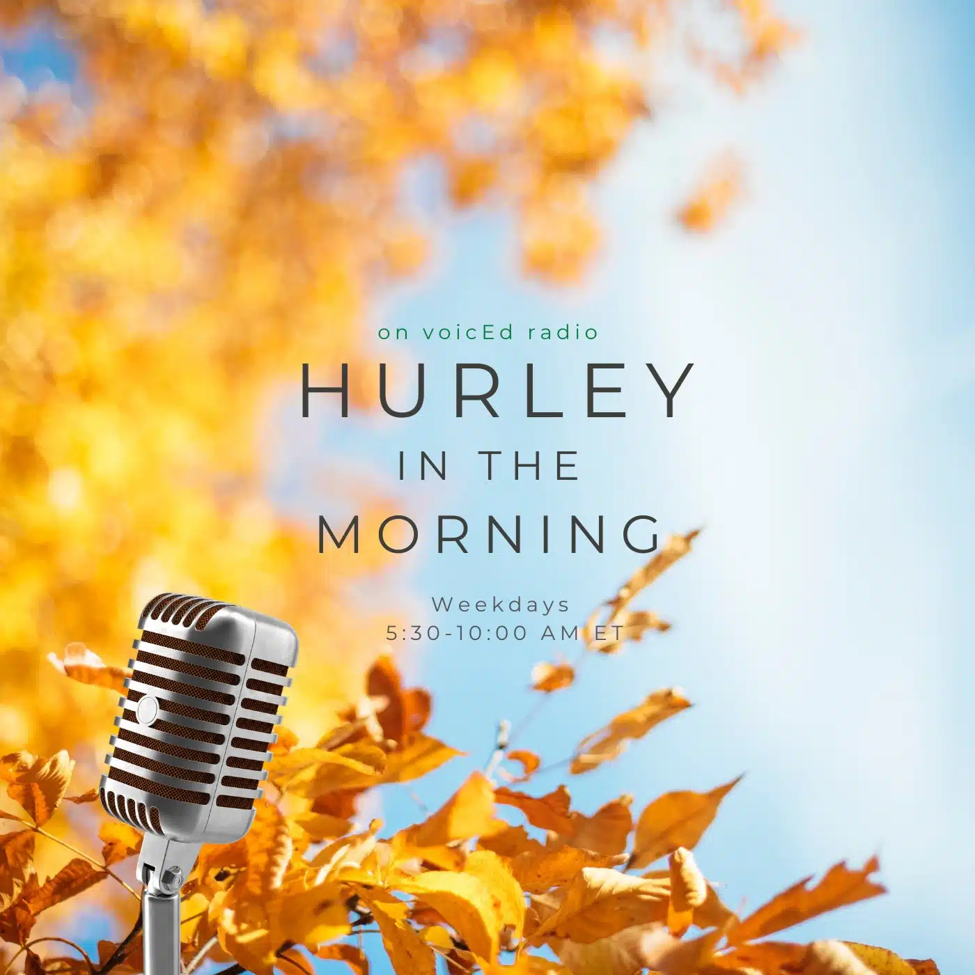 Knowledge and Skills in a Linguistically Diverse Classroom ft. Carol Salva and Natalia Heckman By Hurley in The Morning